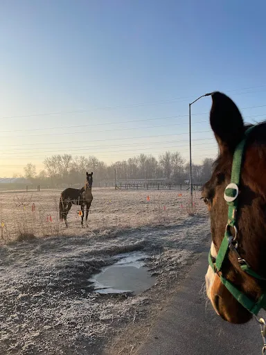 Ludowy Klub Jeździecki Deresz
